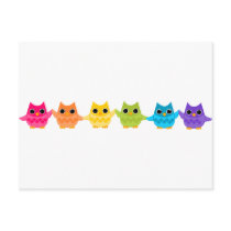 Rainbow Owls