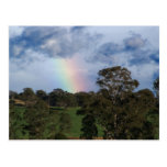 Rainbow Paddock Postcard