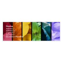 Rainbow Pride Profile Card Business Card Template