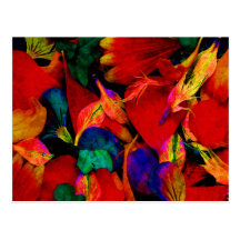 Rainbow Redux Postcard