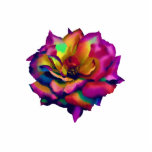 Rainbow Rose Pin Photo Sculpture