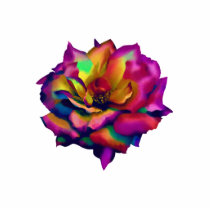 Rainbow Rose Pin