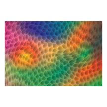 Rainbow Scales Photo Art