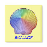 Rainbow Scallop Shell, Scallop