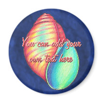Rainbow Shell Magnet