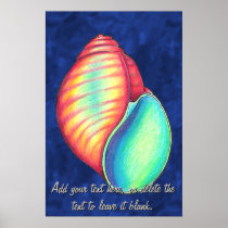 Rainbow Shell Poster