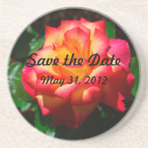Rainbow Sherbet  Floribunda Beverage Coasters