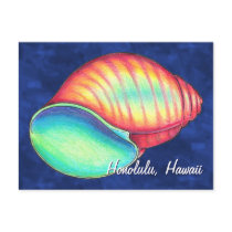 Rainbow Snail Shell Postcard