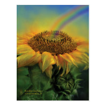 Rainbow Sunflower Art Postcard