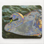 Rainbow Swan Mouse Pads