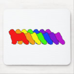 Rainbow Tibetan Mousepads