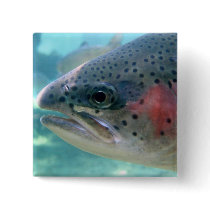 Rainbow Trout Pinback Buttons