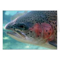 Rainbow Trout Greeting Cards