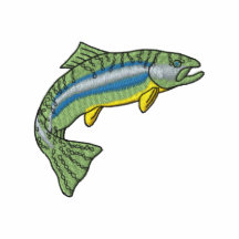 Rainbow Trout