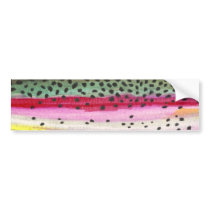Rainbow Trout Fishing Bumper Stickers