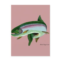 Rainbow Trout II Post Card