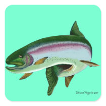 Rainbow Trout II Sticker