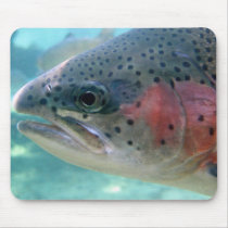 Rainbow Trout Mouse Pad