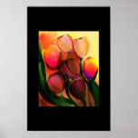 rainbow tulips