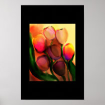 rainbow tulips