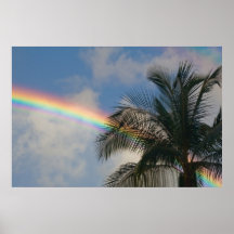 Rainbow with Palm Tree Print