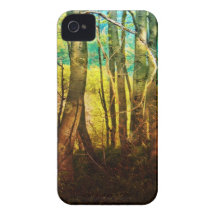 Rainbow Woods iPhone 4 Case