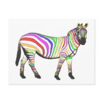 Rainbow Zebra Post Card