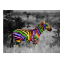 Rainbow Zebra Post Card