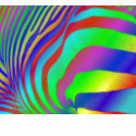 Rainbow Zebra Print t-shirts