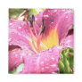 Raindrops On A Delicate Daylily
