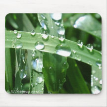 Raindrops on Blades of grass Mouse Mats