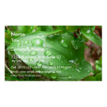 Raindrops On Green Leaf Business Card