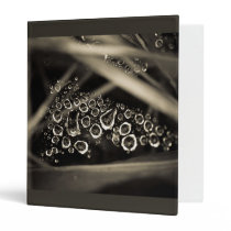 raindrops on web binders