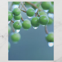 Raindrops Personalized Flyer
