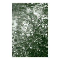 Raindrops photography