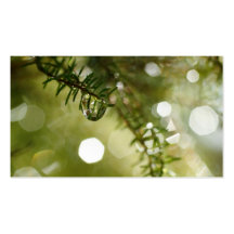 Raindrops - Pocket calendar Business Cards