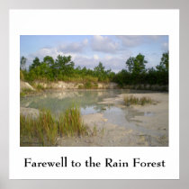 Rainforest Conservation  poster