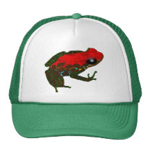 Rainforest Dart Frog Mesh Hats
