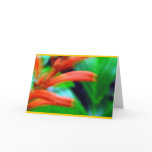 "Rainforest Flowers"