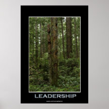 Rainforest Trees LEADERSHIP Art Poster