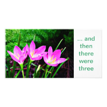 Rainlily trio custom photo card