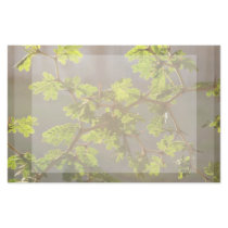 Raintree Branches Bonsai Photo Custom Stationery