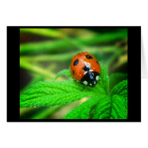 Rainy days greeting card