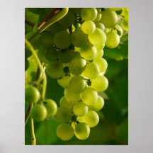 Raisins Posters