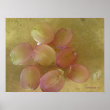 Raisins Posters