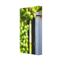 Raisins toscans toile tendue sur châssis
