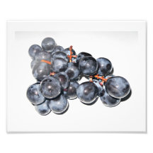 Raisins Vitis vinifera Photographes
