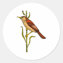 Raj Robin Sticker