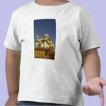 Rajasthan, India A woman standing at and accient t-shirts