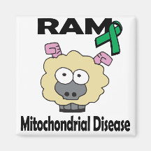RAM Mitochondrial Disease Magnets